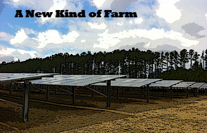 A Solar Farm in Cary